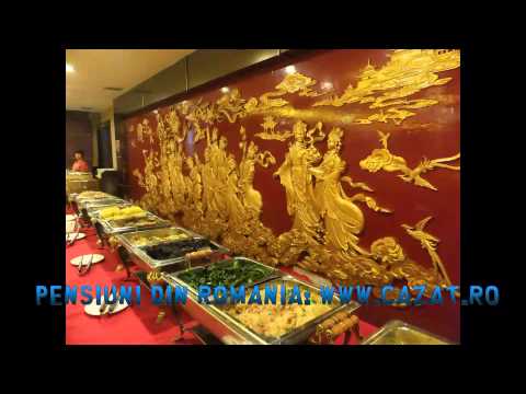 PENSIUNE PISICI BUCURESTI - Cazat.ro