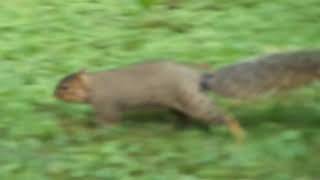 I Love The LORD - Maranatha Singers ft Kelly Willard