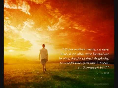 Ti s-a  aratat ce este binele, Mircea Ciorba