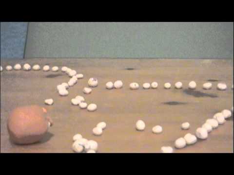 Heads or Tails Trailer