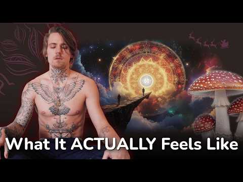 Gabriel Hardie | The Launchpad Podcast and Amentara