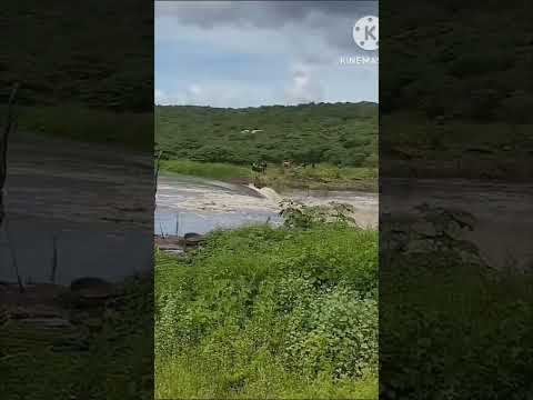 Vejam😱😮😱😮 momento exato que barragem se rompe em Nova Palmeira - Paraíba  #barragem #agua #nordeste
