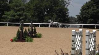 Video of LONG STORY SHORT ridden by OLIVIA SWEETNAM from ShowNet!