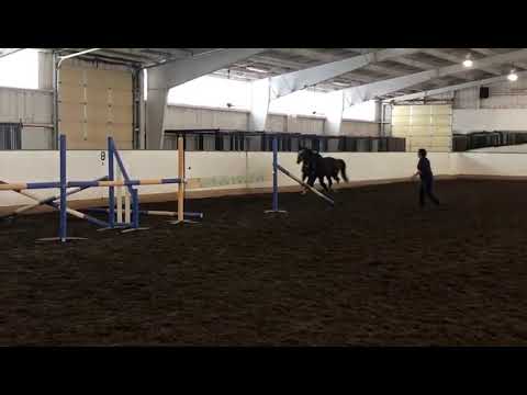 Genna Free Jumping oct 2019