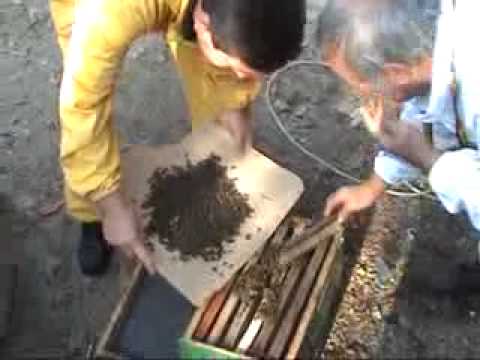 Anestezijom do iskucanaca