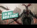 Wo Long: Fallen Dynasty - Liu Bei Boss Fight