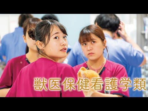 獣医保健看護学類