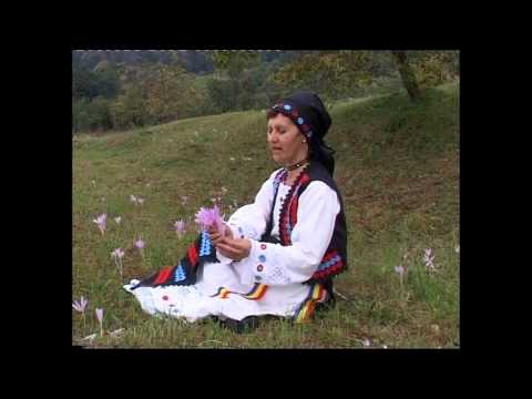 Cornelia Marcus - Io-s codreanca mandra tare