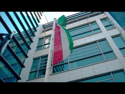 Introduction of the Hungarian University of Sports Science