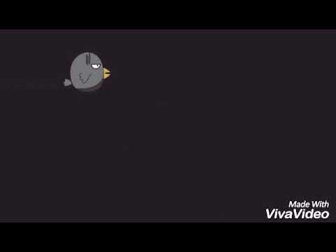 Birthday , Arshi Fatima