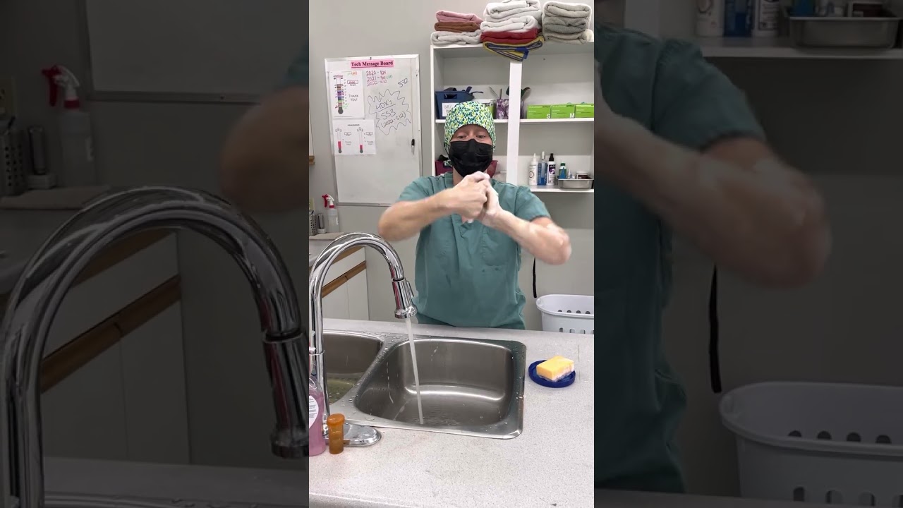 Dr. Brown doing a surgical scrub in preparation for surgery