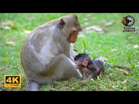 First Steps: The Story Of JAZZY And Her Newborn | Full Documentary