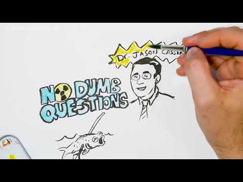 Nuclear Fusion Propulsion 101 - No Dumb Questions 084