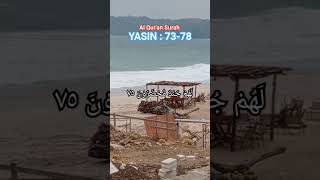 Download lagu Al Qur'an petunjuk hidup setiap muslim ❤#quran#islamic#القرآن الكريم#allahuakbar#viral#trending mp3 Download lagu Al Qur'an petunjuk hidup setiap muslim ❤#quran#islamic#القرآن الكريم#allahuakbar#viral#trending mp3