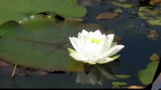 EveninYourDarkestHour