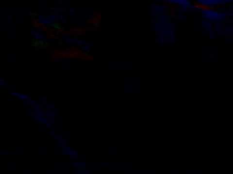 Earth Dance Dürer Kert 20110924.mp4