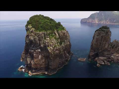 甑島 ナポレオン岩