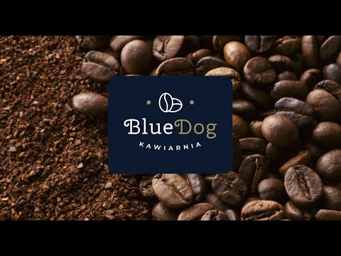 Zobacz filmy, Kawiarnia Blue Dog, Gliwice
