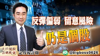 【大戶羅盤籌碼動能】0316 #謝宗霖  反彈偏弱 留意風險 仍是個股 (圖)
