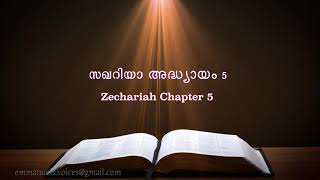Zechariah Chapter 5(സഖറിയാ അദ്ധ്യായം 5) (POC Bible Malayalam)