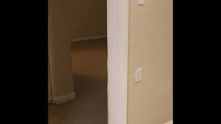 1770 Pine Street #204