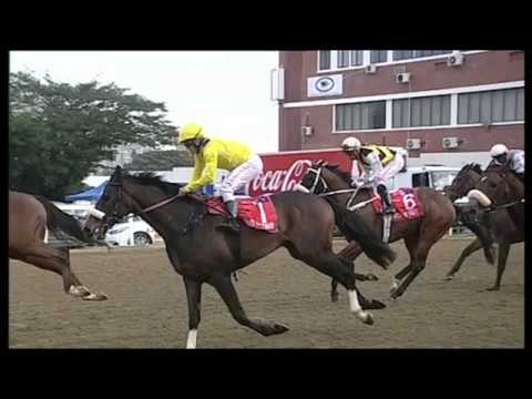 2019 STH AFRICA Durban July