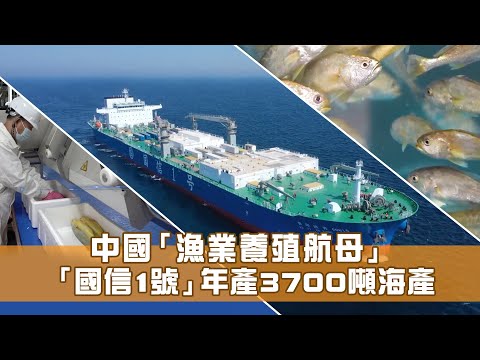 國信1號：全球首艘10萬噸級智慧漁業工船