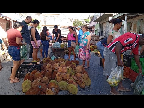 NA FEIRA LIVRE DE LIMOEIRO PERNAMBUCO (25 DE ABRIL DE 2026)