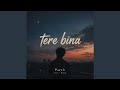 Tere Bina
