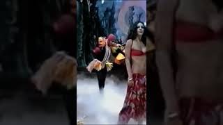 Relance de Caetano Veloso Pedro Novis na voz de Gal Costa 🌺