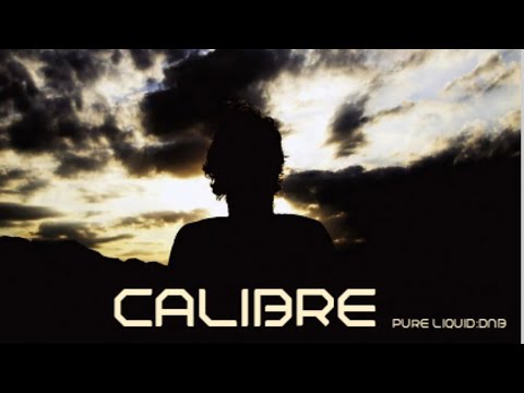 Calibre - Classic Tribute  Drum And Bass Mix Vol :2  (Pure Liquid) No:346