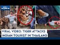 Tiger Attack Video Indian Man Attempts Selfie With Tiger In Thailand Attacked