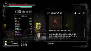 Salt And Sanctuary 協力二人プレイで水没した書物の取り方 تنزيل الموسيقى Mp3 مجانا