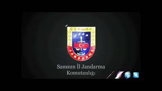 Bafra'da Jandarmadan Torbacı Operasyonu: 20 Tutuklama 