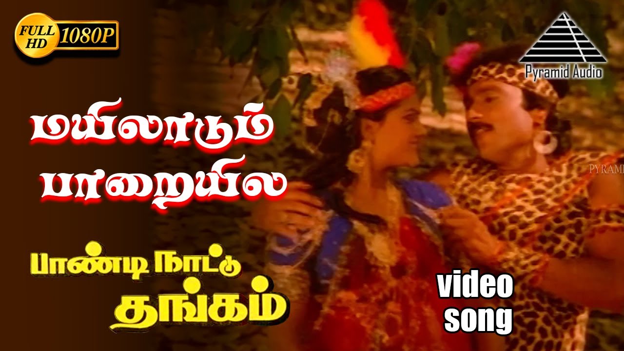 Mayilaadum Paraiyila Song Lyrics | Paandi Nattu Thangam | S. P. Balasubrahmanyam and