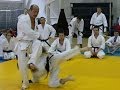 agility conditioning footwork and nage waza by seiji nishimura. seminar in moscow 2008 part 2 6