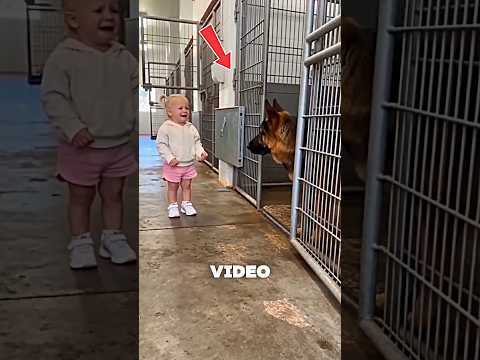 Smart Dog Stops Little Girl From Crying 😱🐕‍🦺 #dog