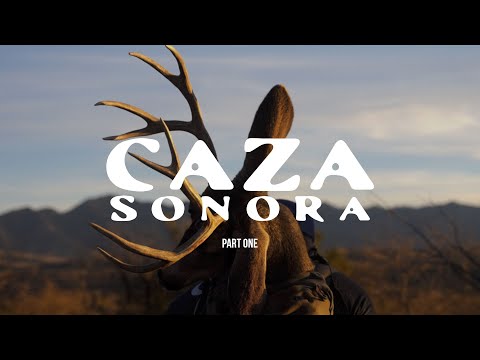 Finding Mule deer on a Coues Deer Ranch: Caza Sonora - 2025 - Part 1/5