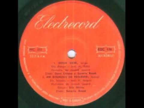 Dorel Livianu and Surorile Kozak-Doua viori