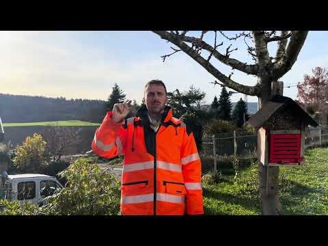 Der perfekte Zwetschgenschnitt