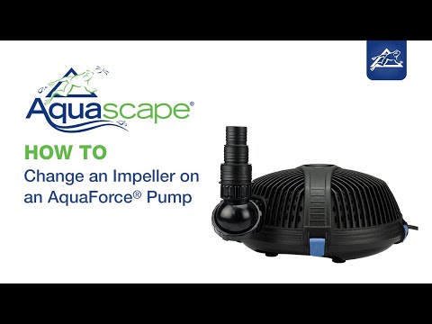 How to Replace the Impeller on an AquaForce® Pump