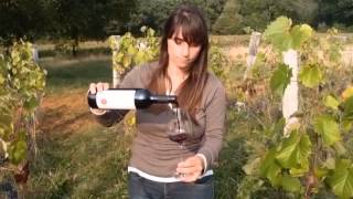 preview picture of video 'Video del Vino: Castello di Rubbia, Terrano 2009'