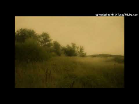 lil tony x hariroc type beat