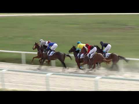 2020.08.30. 02. futam - NYERETLENEK VERSENYE (V.kat.) (szintetikus pálya)