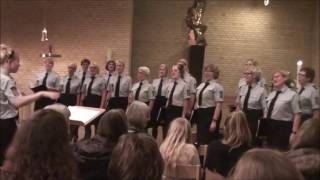 Fuld af nattens stjerner - Lis Sørensen