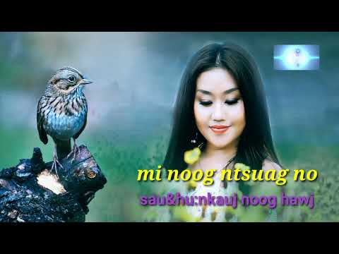 mi noog ntsuag no; nkauj noog hawj 22/5/2023