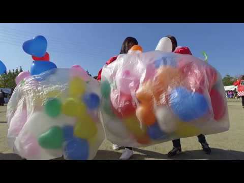 国際学科 2016＿名桜祭