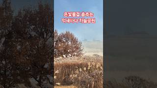 바람부는 하늘공원 억새길  #여행 #걷기 #트레킹 #가을 #억새 #하늘공원 #손승연 #kpop #내하나의사람은가고