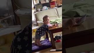 さぁて！今回の動画はァ〜！息子ポン・デ・リングにかぶりつく！