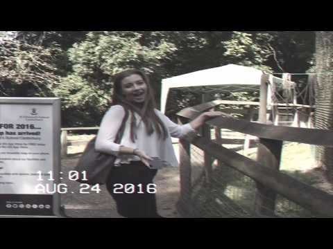 Aspinal Zoo & The Seaside